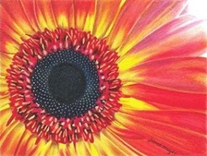 5" x 4" Prismacolor & black fineliner pen on Bristol Vellum